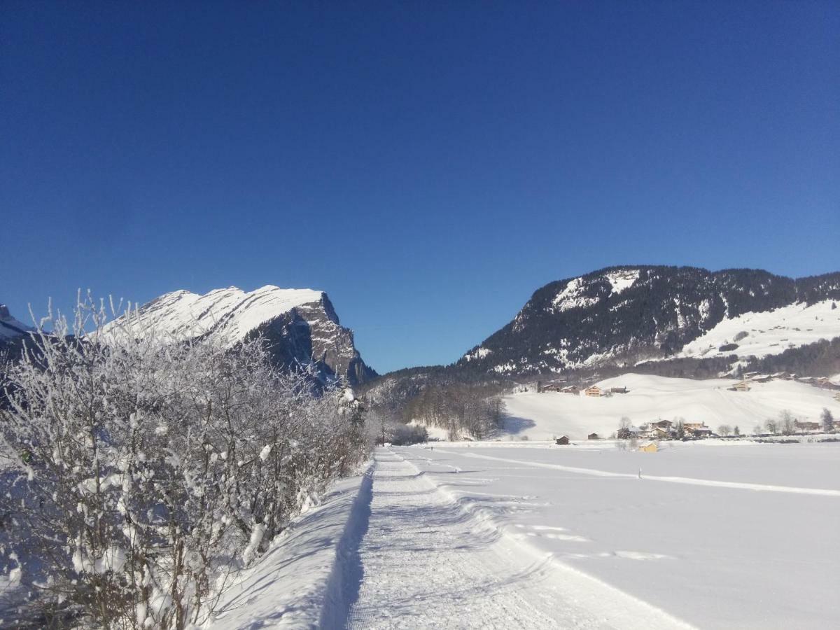 Gaestehaus Pfandl Au (Vorarlberg) Dış mekan fotoğraf