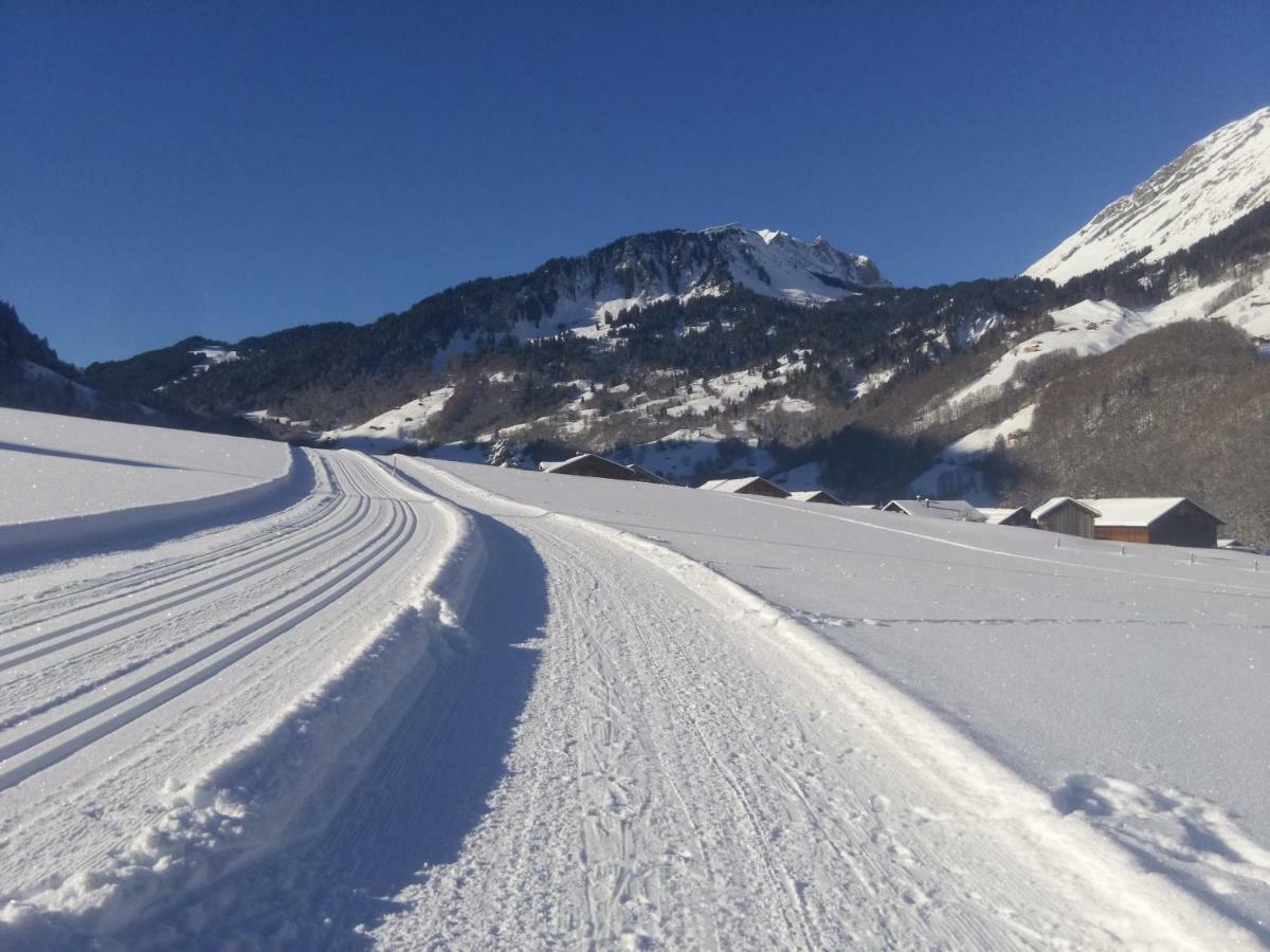 Gaestehaus Pfandl Au (Vorarlberg) Dış mekan fotoğraf